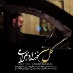 دانلود آهنگ دلتنگ میشم سر شب که بوی یاس تو این خونست فرزاد بهرامی